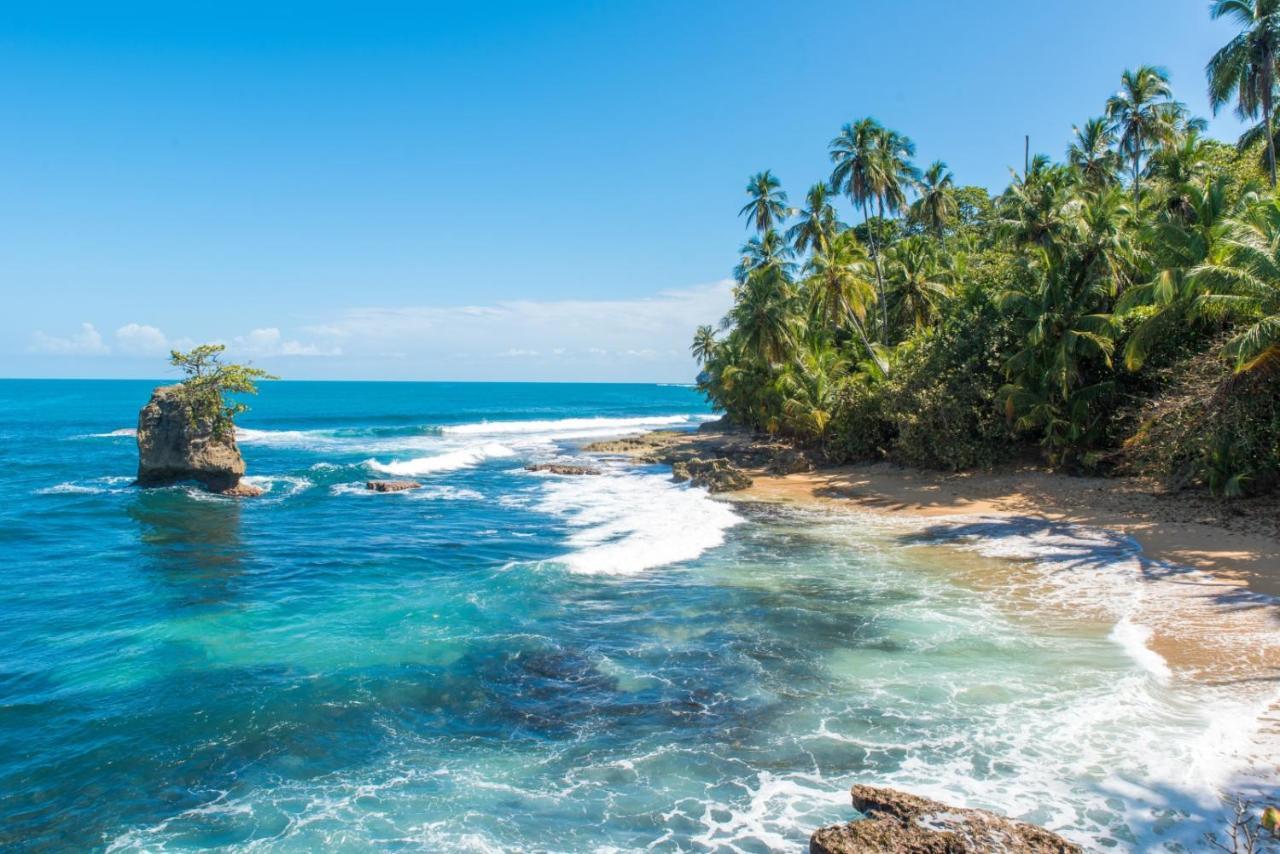 Loftscacao Apartments, Villas Cacao, Near To Playa Bonita Limon Exteriör bild