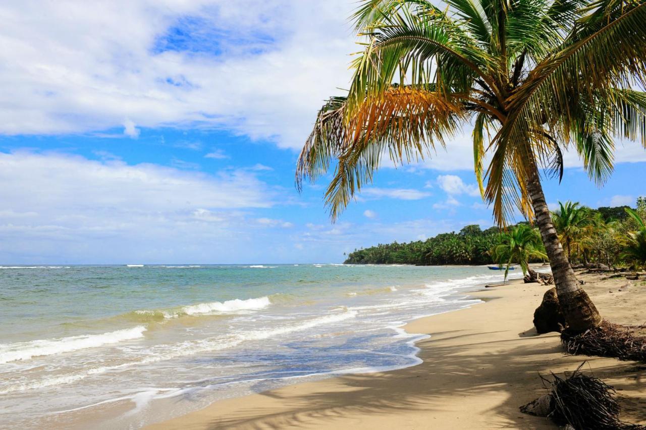 Loftscacao Apartments, Villas Cacao, Near To Playa Bonita Limon Exteriör bild